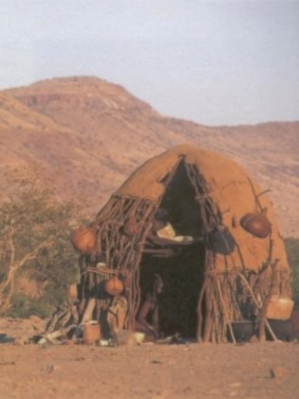 Media Image
