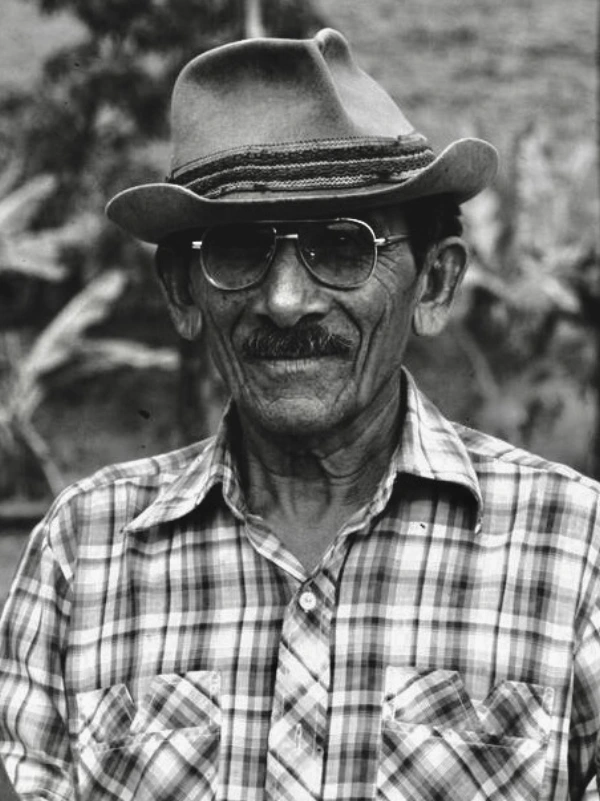 Media Image