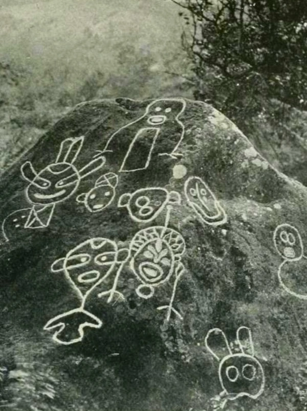 Media Image