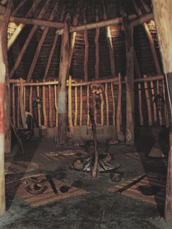 Media Image