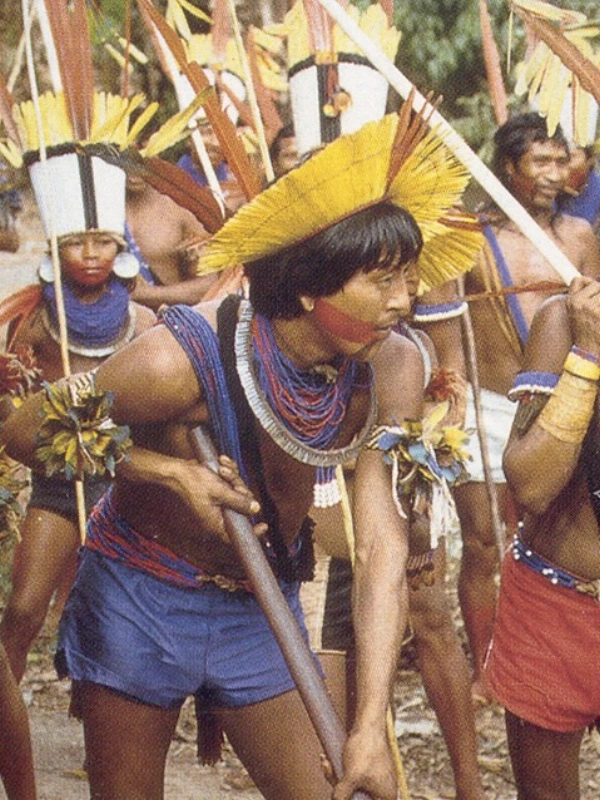 Media Image