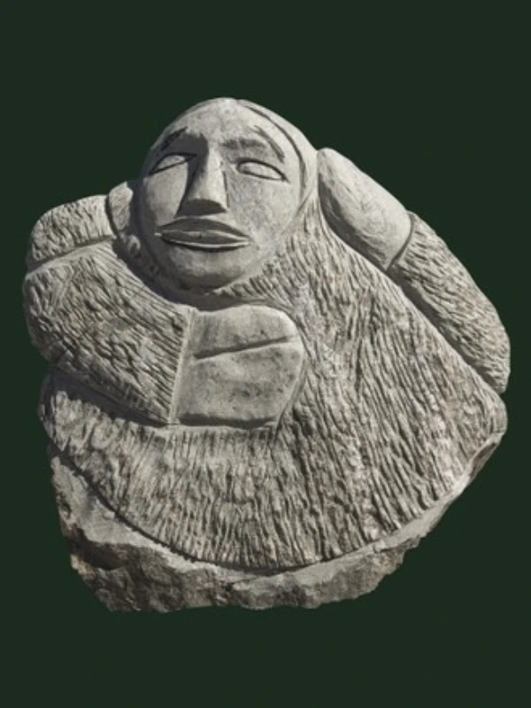 Media Image