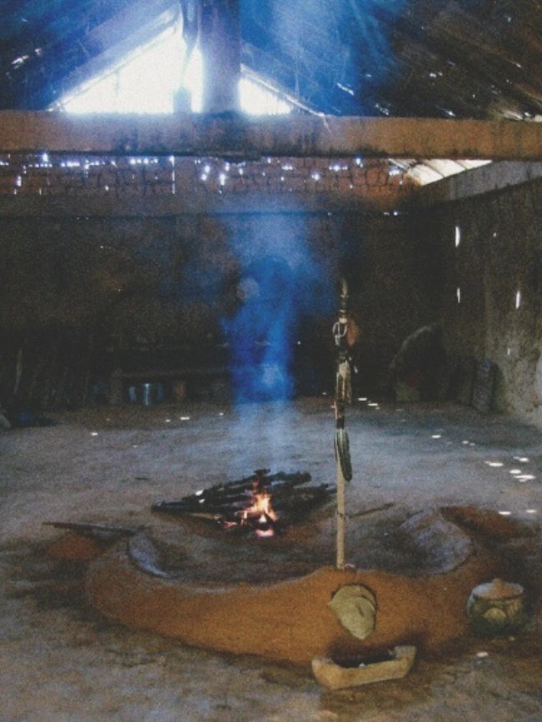 Media Image