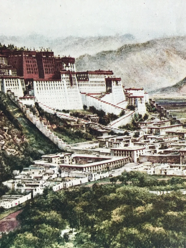 Media Image