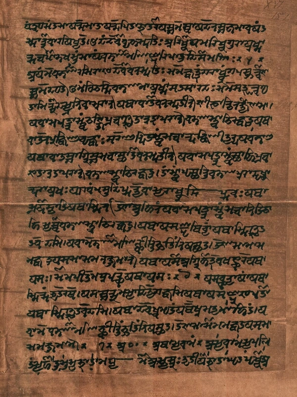 Media Image
