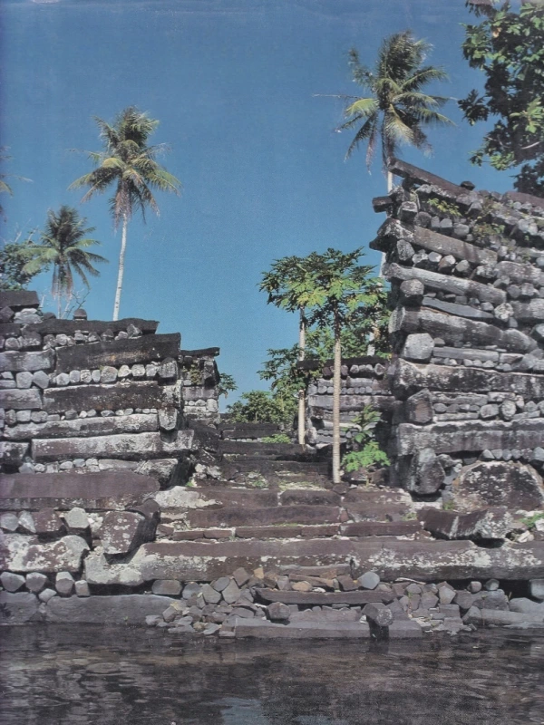 Media Image
